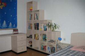 家装实用矮书柜